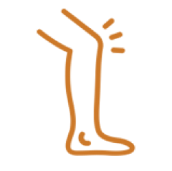 Knee and Joint Pain (Arthritis)